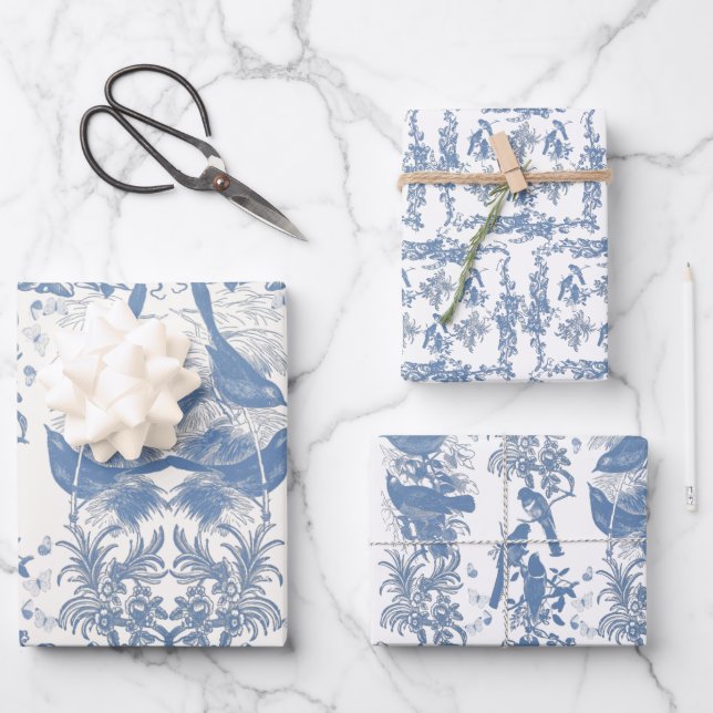 Bird toile paper (Front)