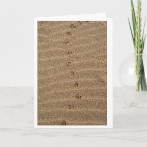 Bird tracks on the beach birthday card