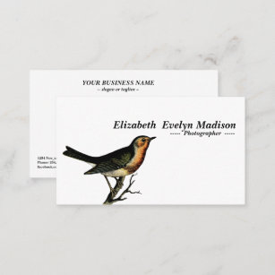 bird vintage engraving business card