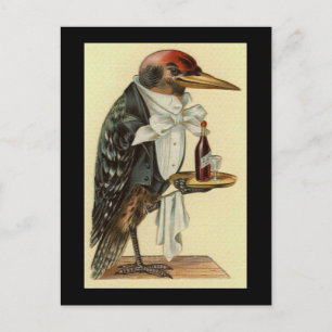Bird Waiter Postcard