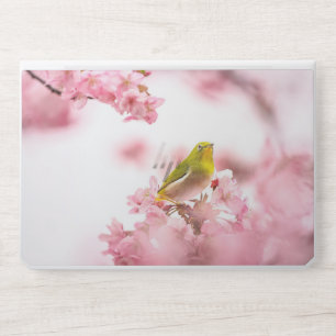 Bird Warbling White Eye Ornithology HP Laptop Skin
