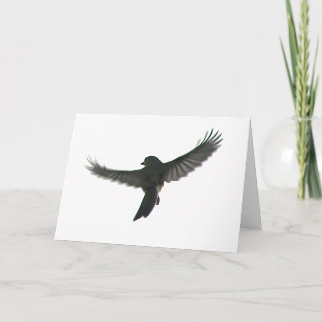 Bird Watcher Card (Front)