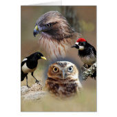 Bird Watcher Collage Cards (Front)