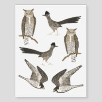 Bird Watchers Peregrine Falcon HornOwl Roadrunner Temporary Tattoos