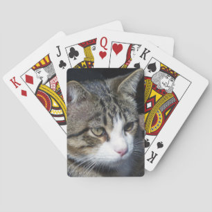 Bird Watching Poker Cards