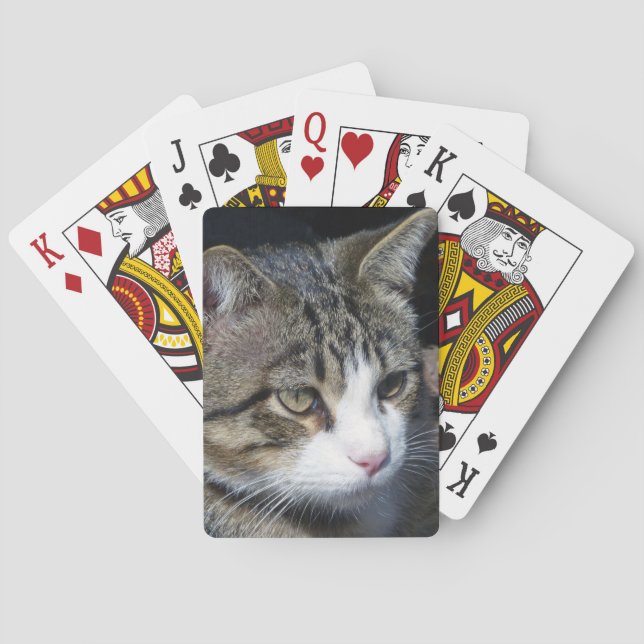 Bird Watching Poker Cards (Back)