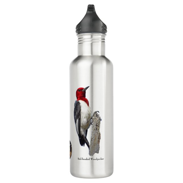 Bird Water Bottle (Right)