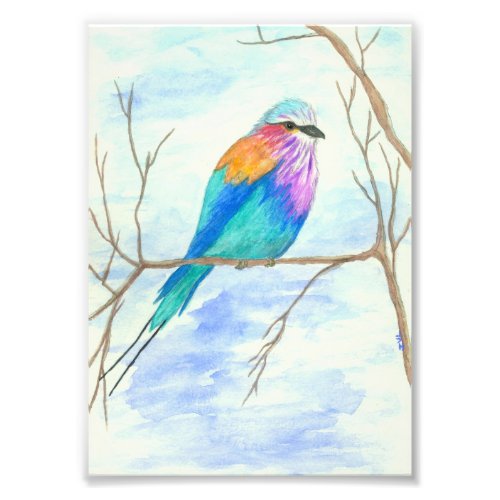 Bird Watercolor Art Lilac Breasted Roller in Tree Photo Print
