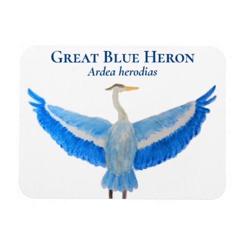 Bird Watercolor Scientific Great Blue Heron Magnet