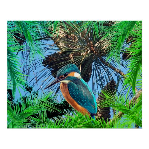 Bird Wildlife Wildreness  Animals  Poster