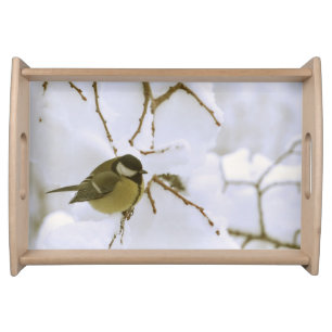 Bird Winter Photo Serving Tray