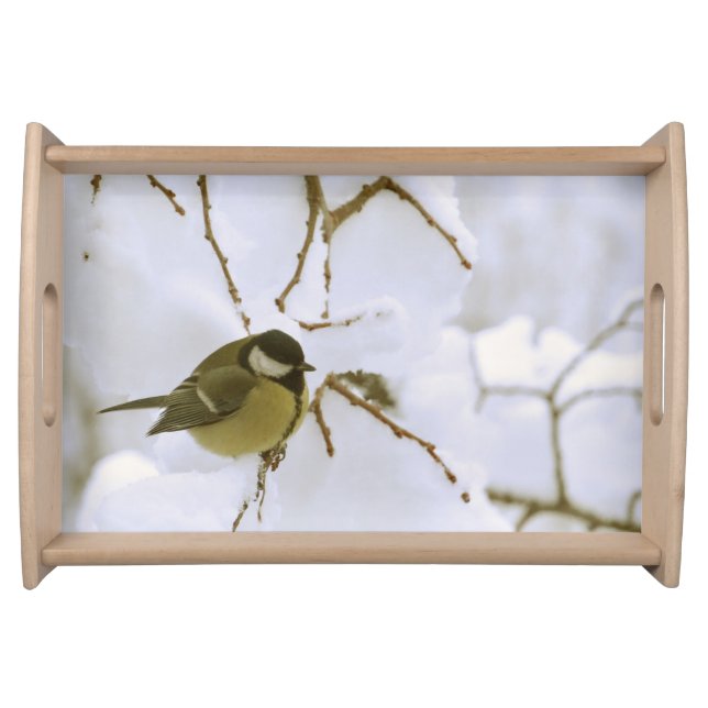 Bird Winter Photo  Serving Tray (Front)