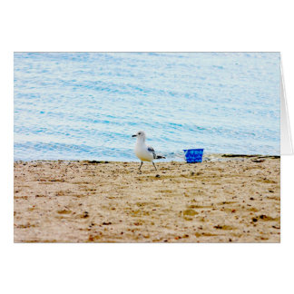 Bird with Sand Pail