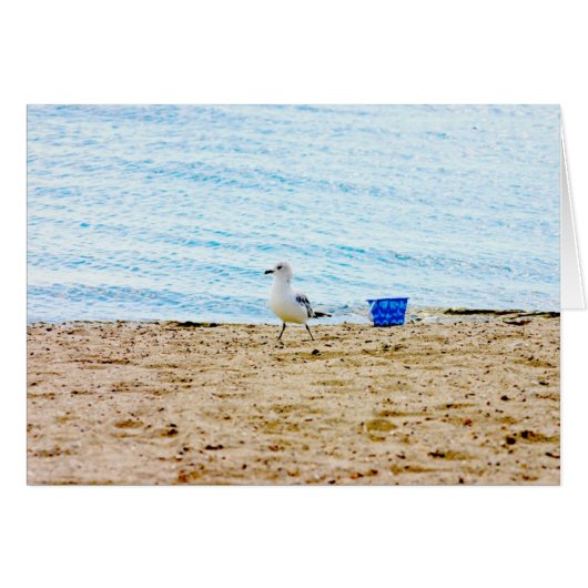 Bird with Sand Pail Cards (Front Horizontal)