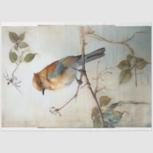 Bird with watercolor background  tissue paper