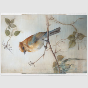 Bird with watercolor background  tissue paper