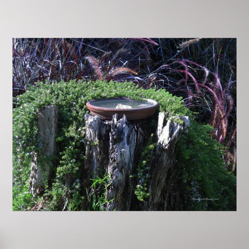 Birdbath on Tree Stump Poster