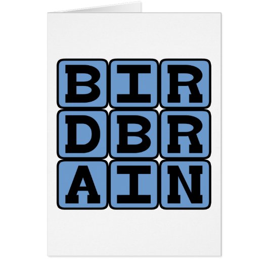 Birdbrain, Bird Watcher Cards (Front)