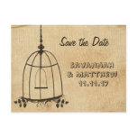 Birdcage