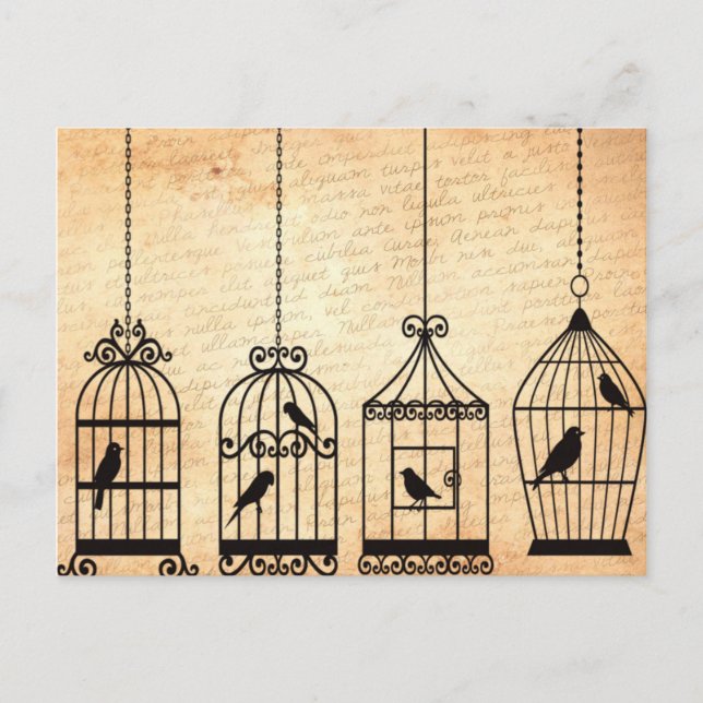 Birdcage Silhouettes Postcard (Front)