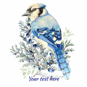 Birder Blue Jay Bird Watercolor art message Cutout