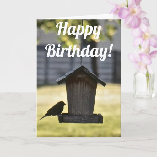Birdfeeder Silhouette Birthday Card