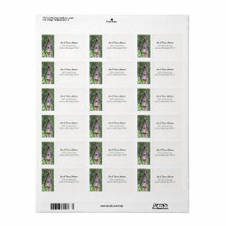 Birdhouse Address Labels | Zazzle