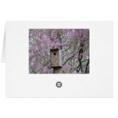 Birdhouse Among Redbud Blossoms Cards (Back Horizontal)