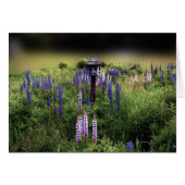 Birdhouse and Lupines (Front Horizontal)