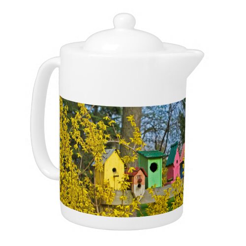 Birdhouse Boulevard  Teapot