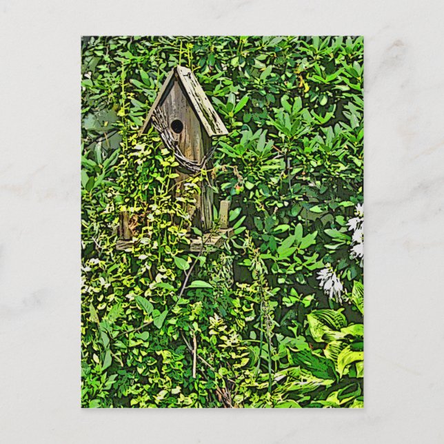 Birdhouse in Garden  Postcard (Front)