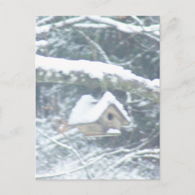 birdhouse in the snow postcard (Front)