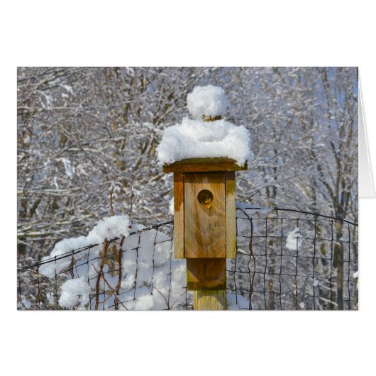 Birdhouse in Winter Cards (Front Horizontal)