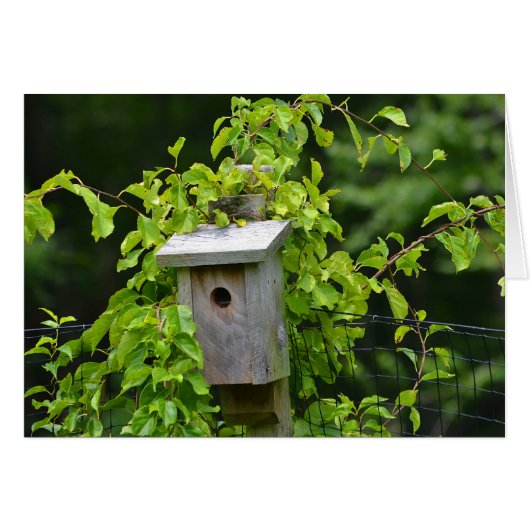 Birdhouse Notecard (Front Horizontal)