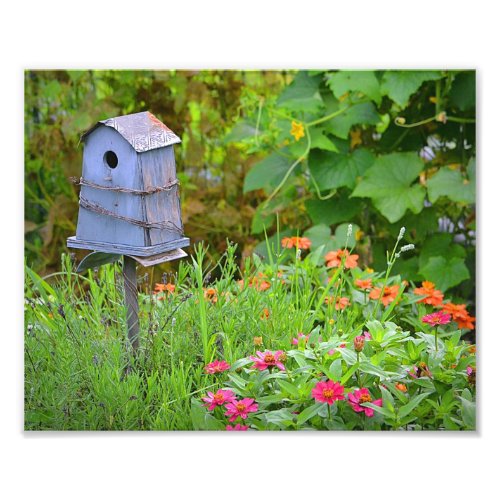 Birdhouse Photo Print