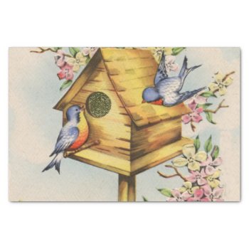 Birdhouse Tissue Paper by KraftyKays at Zazzle
