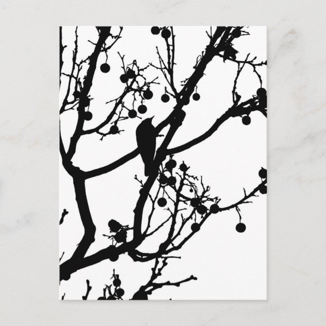 Birdie 4 postcard (Front)