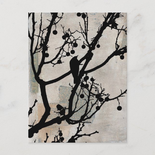 Birdie 6 postcard (Front)