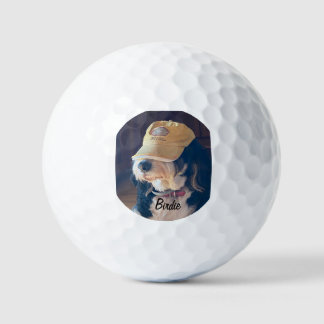 Birdie in a yellow golf hat golf balls