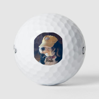 Birdie in a yellow golf hat golf balls
