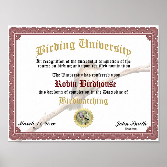 Birding Completion Diploma Poster (Front)
