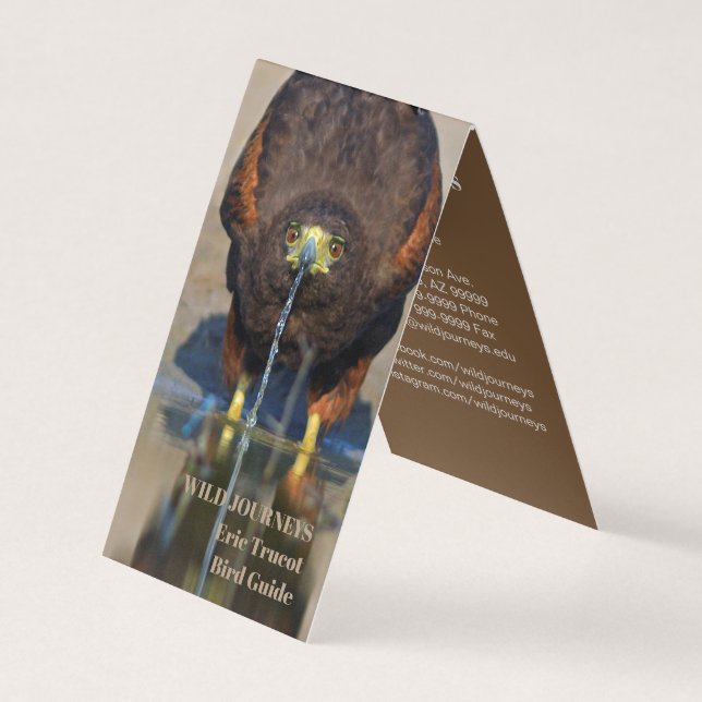 Birding Guide Hawk Business Card (Front)