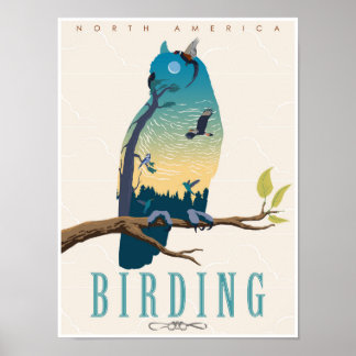 Birding in North America Poster