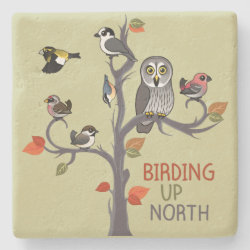 Birding Up North Limestone Coaster