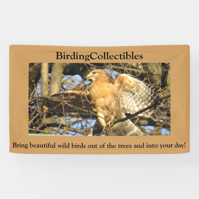 BirdingCollectibles Banner (Horizontal)