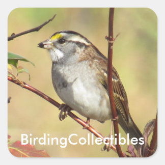 BirdingCollectibles Stickers