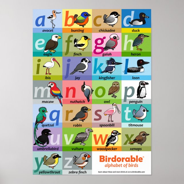 Birdorable Alphabet of Birds Poster (Front)