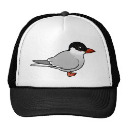 Arctic Tern Trucker Hat