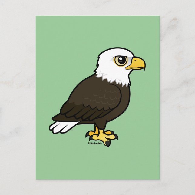 Birdorable Bald Eagle Postcard (Front)