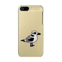 Black-legged Kittiwake juvenile Incipio Feather Shine iPhone 5/5s Case